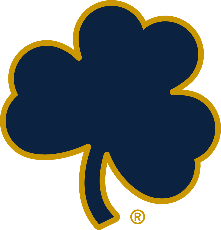 Notre Dame Fighting Irish 2015-Pres Secondary Logo v4 diy DTF decal sticker...